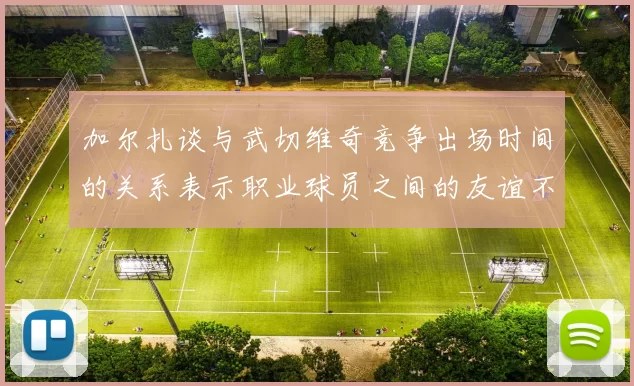 加尔扎谈与武切维奇竞争出场时间的关系表示职业球员之间的友谊不受影响