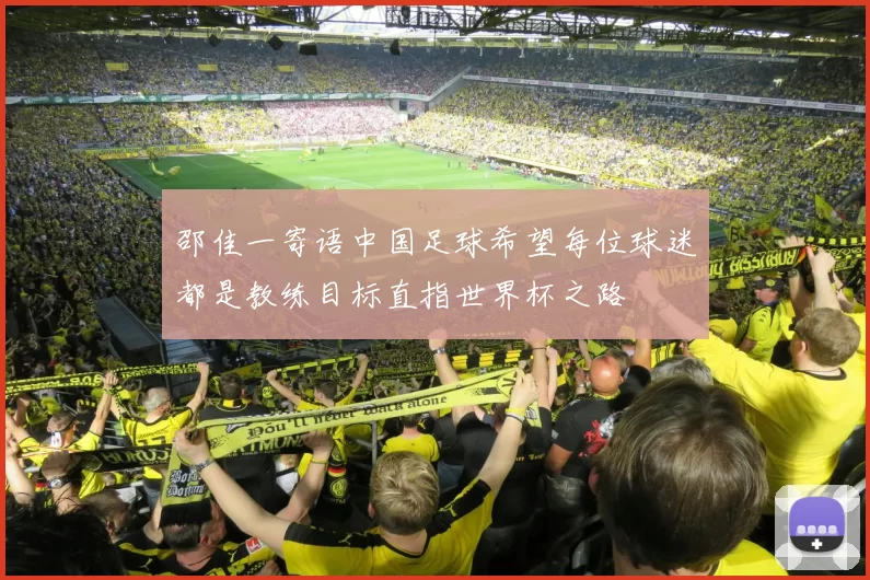 邵佳一寄语中国足球希望每位球迷都是教练目标直指世界杯之路