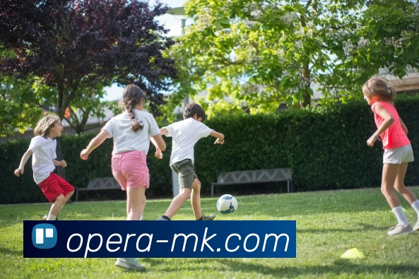 MK体育APP 高清赛事图